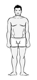 endomorf